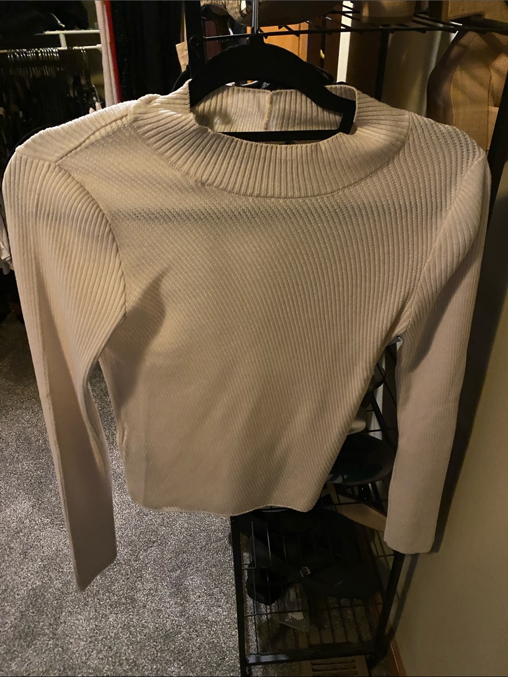 Mango Cream Ribbed Mock Neck Long Sleeve Top